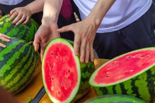 国产精品吃瓜视频免费,免费畅享欢乐时光 第2张 国产精品吃瓜视频免费,免费畅享欢乐时光 第2张